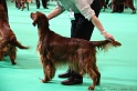 Crufts2011 054